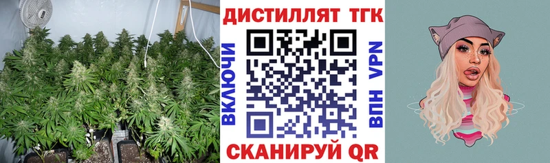 Купить  Котлас  ТГК THC oil 