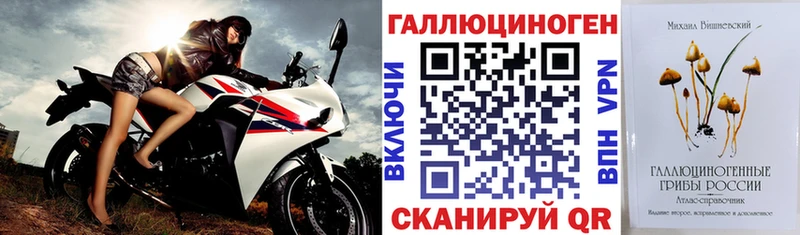 Купить закладки  Котлас  Галлюциногенные грибы прущие грибы 